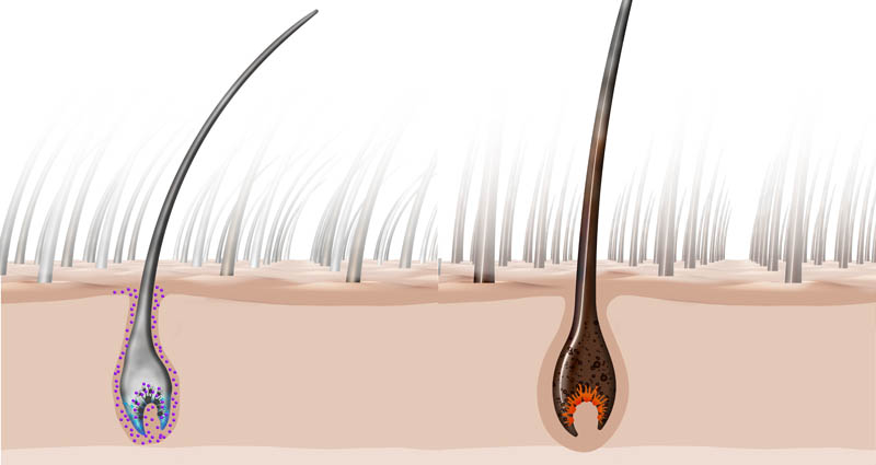 Friseur-Essen-La-Biosthetique-Neues-Jahr-Neue-Pflege-03